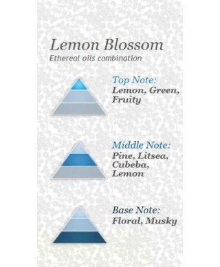LEMON-BLOSSOM Air freshener 250ml