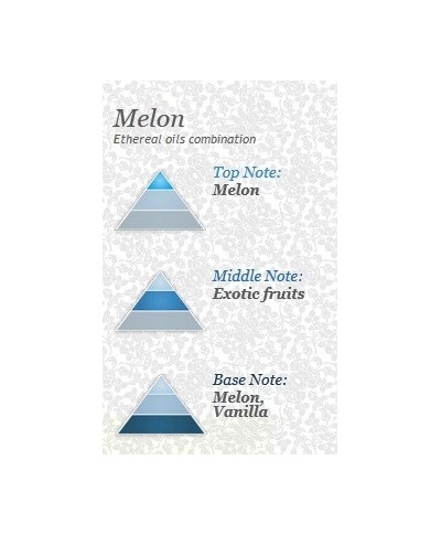 MELON Air freshener 250ml