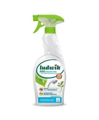Экологическое чистящее средство для душевых кабин и других поверхностей в ванной комнате, 750 мл (Ludwik)