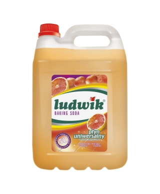 Universal detergent "Baking Soda", 5L (Ludwik)