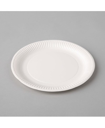 Disposable paper plates...