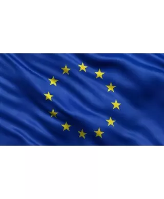Флаг Европейского союза 200x100 см, для мачты
